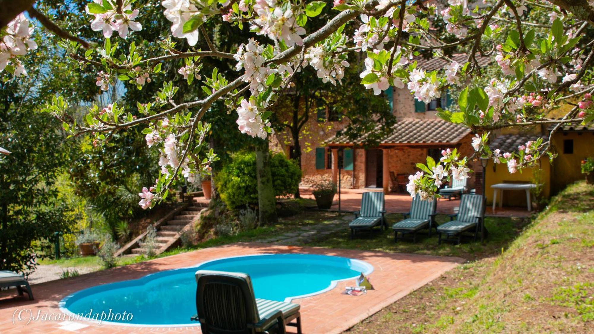 Villa La Pieve Camaiore Eksteriør bilde