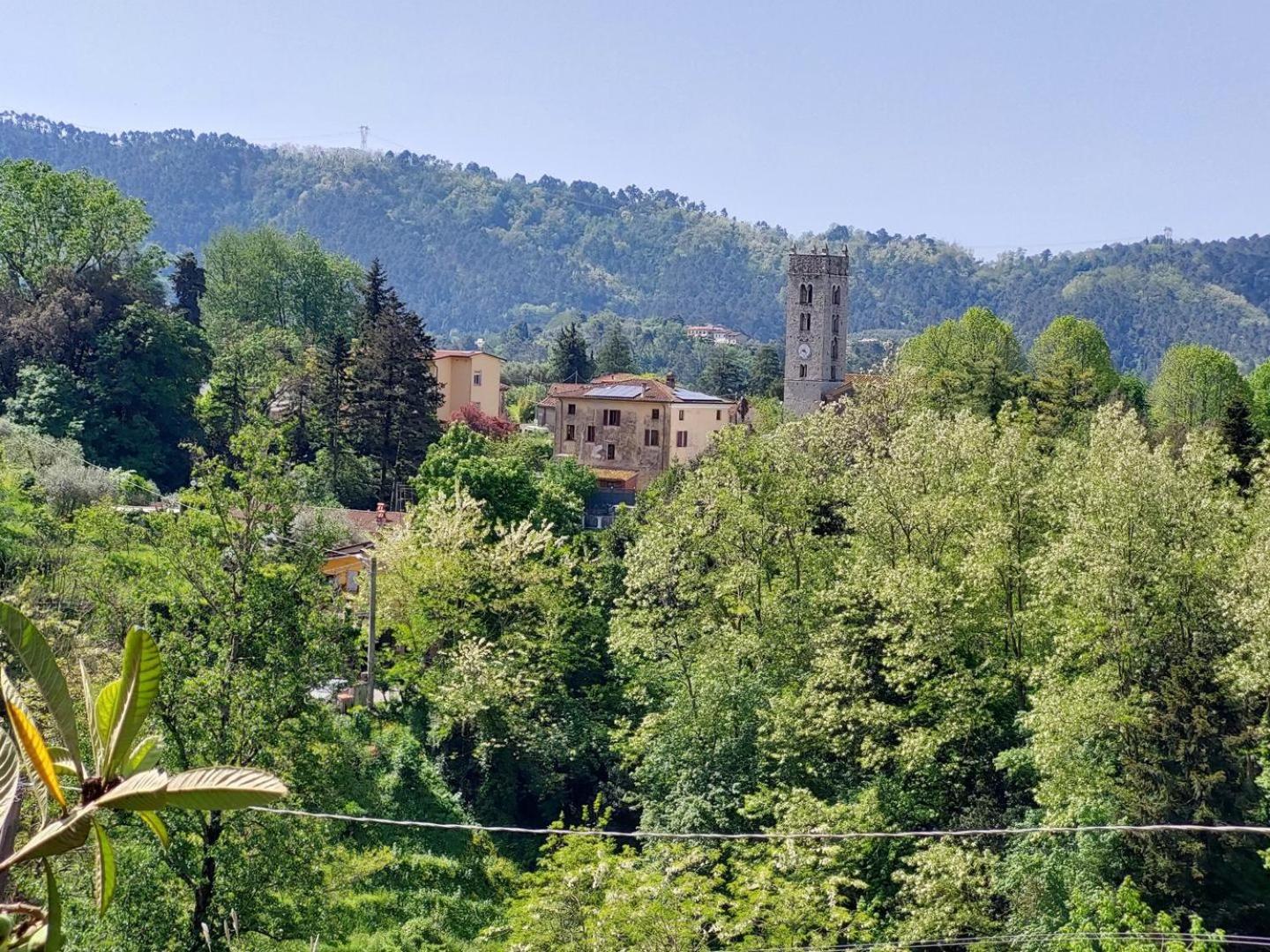 Villa La Pieve Camaiore Eksteriør bilde