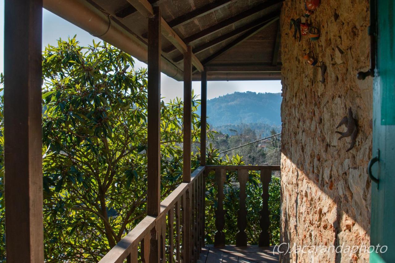 Villa La Pieve Camaiore Eksteriør bilde